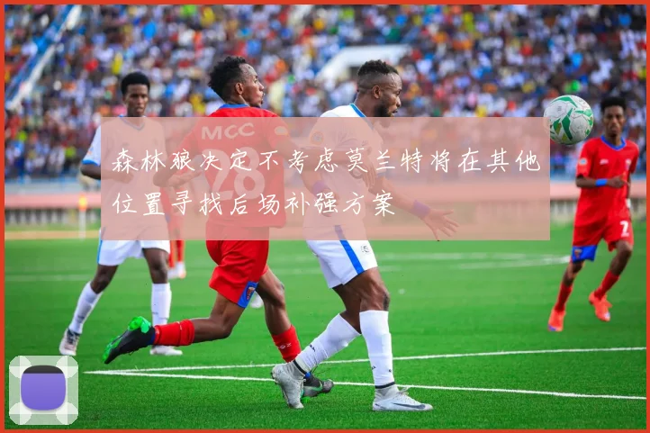 森林狼决定不考虑莫兰特将在其他位置寻找后场补强方案