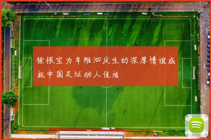 徐根宝为年维泗庆生的深厚情谊成就中国足坛动人佳话